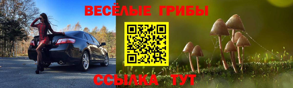 Псилоцибиновые грибы MAGIC MUSHROOMS  купить наркотики цена  Казань  Галлюциногенные грибы GOLDEN TEACHER  Вход с VPN 